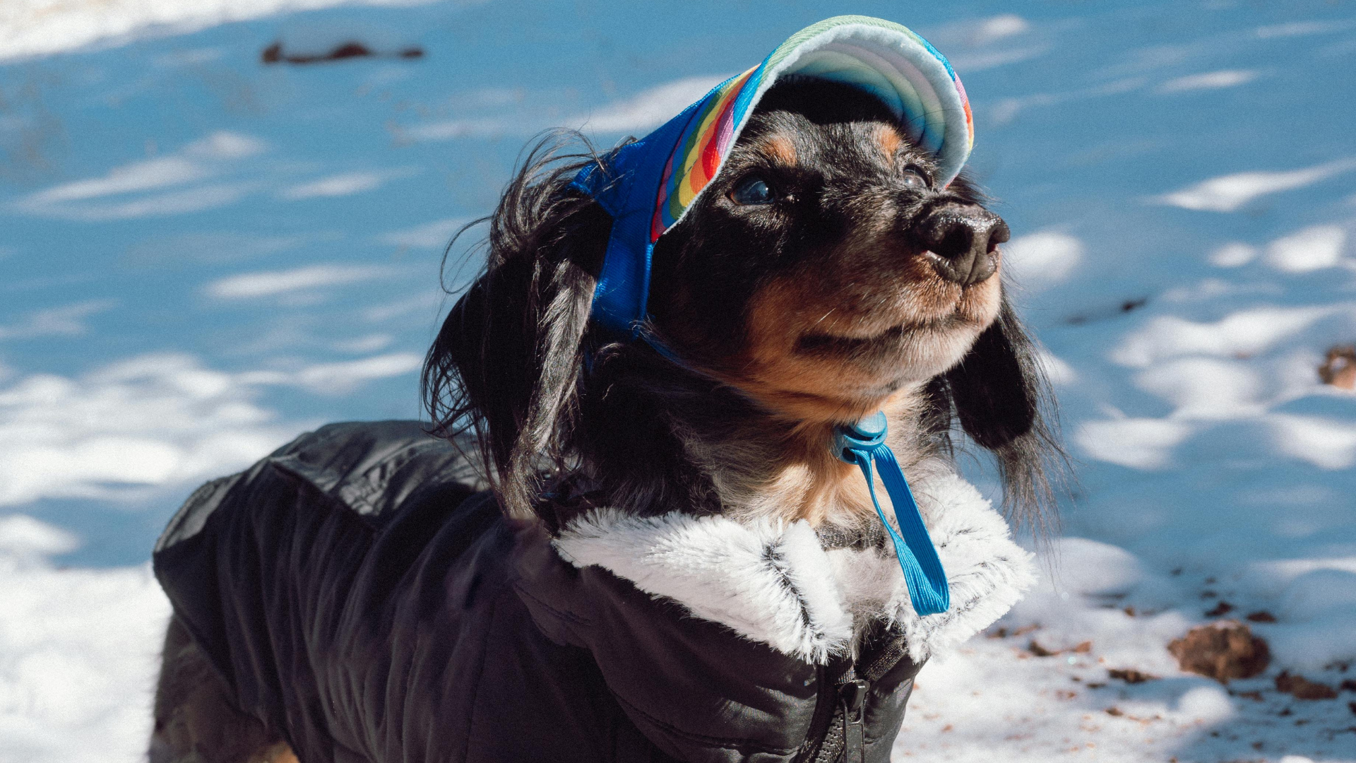 ニットタイをビジカジで合わせた例